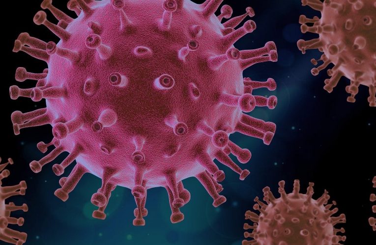 Covid-19 : des anticorps chez seulement un quart des habitants d’un foyer épidémique français